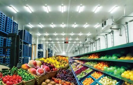 cold storage warehouse crates vegetables refrigeration infrastructure india