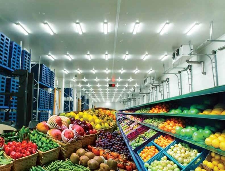 cold storage warehouse crates vegetables refrigeration infrastructure india