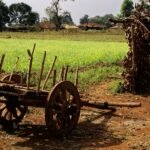 Rural Infrastructure India: AI, Roads and Water Networks Reshape Village Connectivity